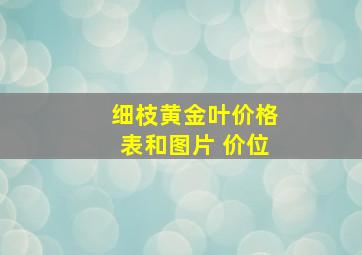 细枝黄金叶价格表和图片 价位